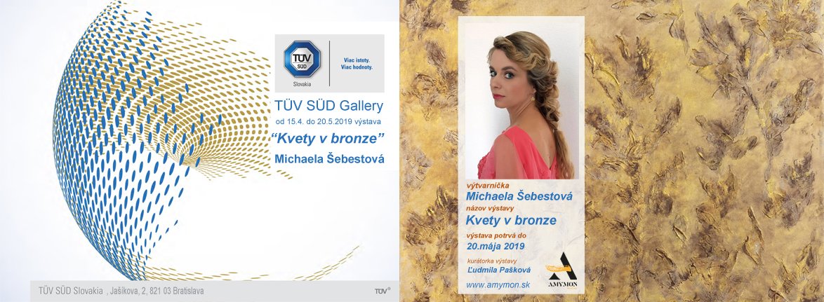 newevent/2019/04/Sebestova_Accace Ba_FB.jpg